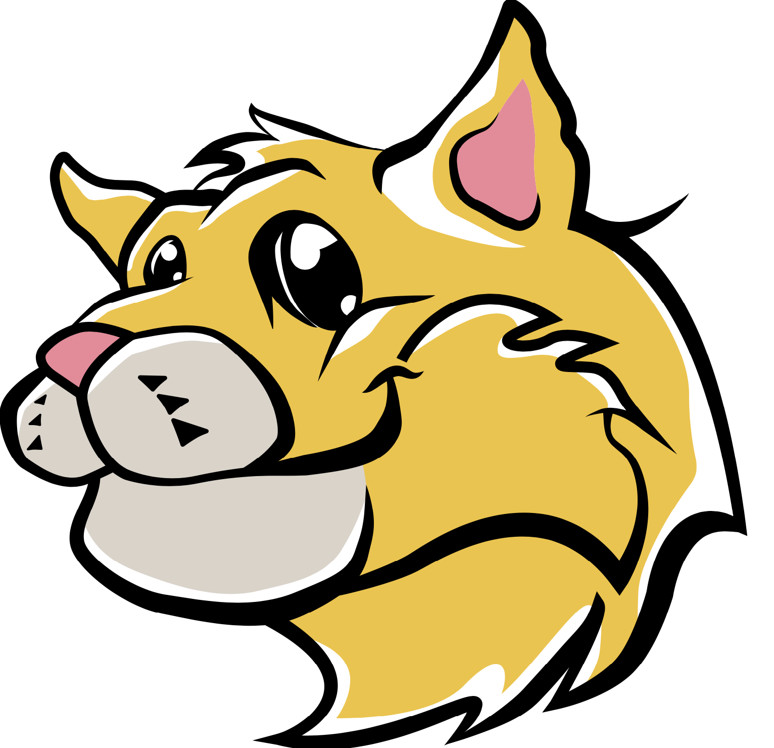 Moretown School Library